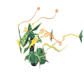 Pokemon GO Rayquaza Mega