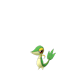 Pokemon GO Snivy 