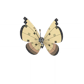 Pokemon GO Vivillon Sandstorm