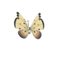 Pokemon GO Vivillon Sandstorm