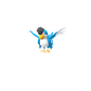 Pokemon GO Squawkabilly Blue
