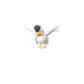 Pokemon GO Squawkabilly White